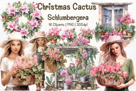 Christmas Cactus Flower Watercolor PNG & Illustrations Review
