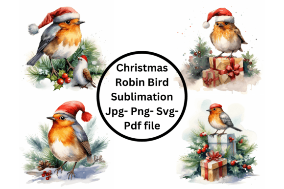 Christmas Robin Bird Sublimation for Seasonal Illustrations